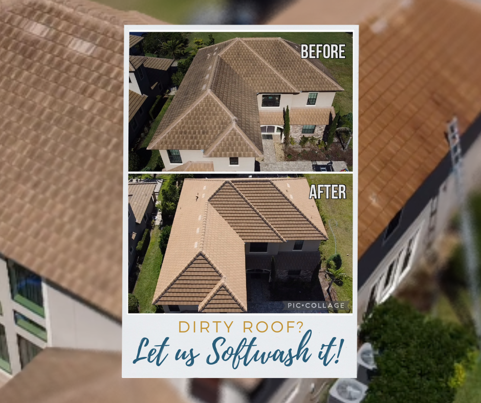 Roof cleaning in Ormond Beach Florida